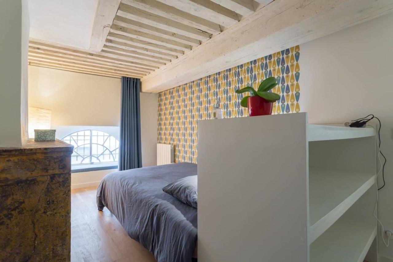 Character Apartment 6 People - City Center Lyon Exteriér fotografie